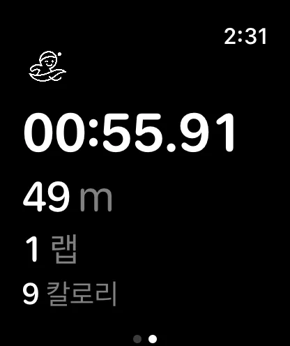 어푸어푸 애플워치 실시간 수영 세션